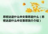 思密达是什么中文意思是什么（思密达是什么中文意思简介介绍）