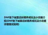 DNF地下城童话妖精养成玩法小攻略介绍(DNF地下城童话妖精养成玩法小攻略详细情况如何)