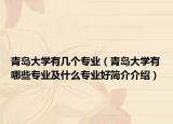 青岛大学有几个专业（青岛大学有哪些专业及什么专业好简介介绍）