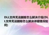 DLL文件无法删除怎么解决介绍(DLL文件无法删除怎么解决详细情况如何)