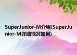 SuperJunior-M介绍(SuperJunior-M详细情况如何)