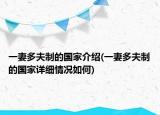 一妻多夫制的国家介绍(一妻多夫制的国家详细情况如何)
