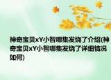神奇宝贝xY小智哪集发烧了介绍(神奇宝贝xY小智哪集发烧了详细情况如何)