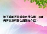 地下城的天界徽章有什么用（dnf天界徽章有什么用简介介绍）