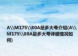A\M175\80A是多大号介绍(A\M175\80A是多大号详细情况如何)