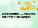 刘芸母亲图片大全\