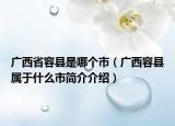 广西省容县是哪个市（广西容县属于什么市简介介绍）