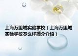 上海万里城实验学校（上海万里城实验学校怎么样简介介绍）