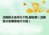 沈阳医大总共几个院,都在哪（沈阳医大在哪里简介介绍）