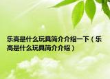 乐高是什么玩具简介介绍一下（乐高是什么玩具简介介绍）