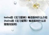 twins的《见习爱神》粤语版叫什么介绍(twins的《见习爱神》粤语版叫什么详细情况如何)