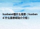 husband是什么意思（husband 什么意思呀简介介绍）