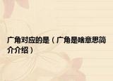 广角对应的是（广角是啥意思简介介绍）