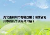 湖北省利川市有哪些镇（湖北省利川市有几个镇简介介绍）