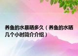 养鱼的水暴晒多久（养鱼的水晒几个小时简介介绍）