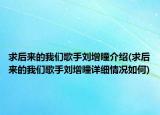 求后来的我们歌手刘增瞳介绍(求后来的我们歌手刘增瞳详细情况如何)