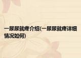 一尿尿就疼介绍(一尿尿就疼详细情况如何)