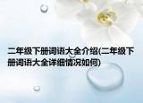 二年级下册词语大全介绍(二年级下册词语大全详细情况如何)