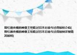 曾红遍央视的神童王恒屹过目不忘如今过得如何介绍(曾红遍央视的神童王恒屹过目不忘如今过得如何详细情况如何)