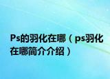 Ps的羽化在哪（ps羽化在哪简介介绍）