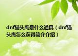 dnf猫头鹰是什么道具（dnf猫头鹰怎么获得简介介绍）