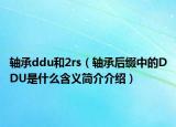 轴承ddu和2rs（轴承后缀中的DDU是什么含义简介介绍）