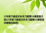 六年级下册语文补充习题第13课答案介绍(六年级下册语文补充习题第13课答案详细情况如何)