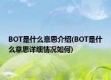 BOT是什么意思介绍(BOT是什么意思详细情况如何)