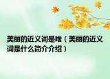 美丽的近义词是啥（美丽的近义词是什么简介介绍）