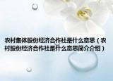 农村集体股份经济合作社是什么意思（农村股份经济合作社是什么意思简介介绍）