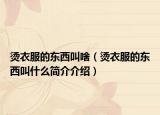 烫衣服的东西叫啥（烫衣服的东西叫什么简介介绍）