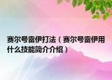 赛尔号雷伊打法（赛尔号雷伊用什么技能简介介绍）