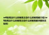 sell的用法什么时候用主动什么时候用被介绍(sell的用法什么时候用主动什么时候用被详细情况如何)