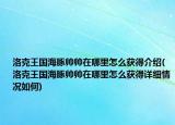 洛克王国海豚帅帅在哪里怎么获得介绍(洛克王国海豚帅帅在哪里怎么获得详细情况如何)