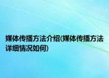 媒体传播方法介绍(媒体传播方法详细情况如何)