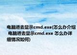 电脑进去显示cmd.exe(怎么办介绍 电脑进去显示cmd.exe 怎么办详细情况如何)