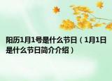 阳历1月1号是什么节日（1月1日是什么节日简介介绍）