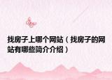 找房子上哪个网站（找房子的网站有哪些简介介绍）