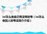lol怎么查自己有没有封号（lol怎么查别人封号没简介介绍）