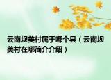 云南坝美村属于哪个县（云南坝美村在哪简介介绍）