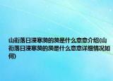 山衔落日浸寒漪的漪是什么意意介绍(山衔落日浸寒漪的漪是什么意意详细情况如何)