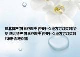 陕北特产(甘泉豆腐干 西安什么地方可以买到?介绍 陕北特产 甘泉豆腐干 西安什么地方可以买到?详细情况如何)