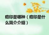 痘印是哪种（痘印是什么简介介绍）