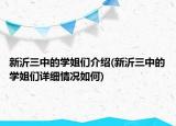 新沂三中的学姐们介绍(新沂三中的学姐们详细情况如何)