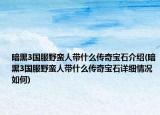 暗黑3国服野蛮人带什么传奇宝石介绍(暗黑3国服野蛮人带什么传奇宝石详细情况如何)