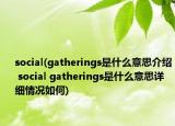 social(gatherings是什么意思介绍 social gatherings是什么意思详细情况如何)