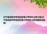 辽宁省实验中学北校区有小学吗怎么样介绍(辽宁省实验中学北校区有小学吗怎么样详细情况如何)