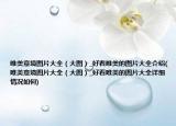 唯美意境图片大全（大图）_好看唯美的图片大全介绍(唯美意境图片大全（大图）_好看唯美的图片大全详细情况如何)