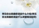 想见你主题曲歌词是什么介绍(想见你主题曲歌词是什么详细情况如何)