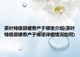 茶叶特级碧螺春产于哪里介绍(茶叶特级碧螺春产于哪里详细情况如何)